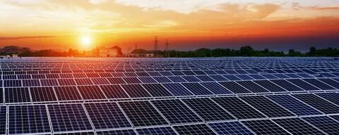 Solar glare чай