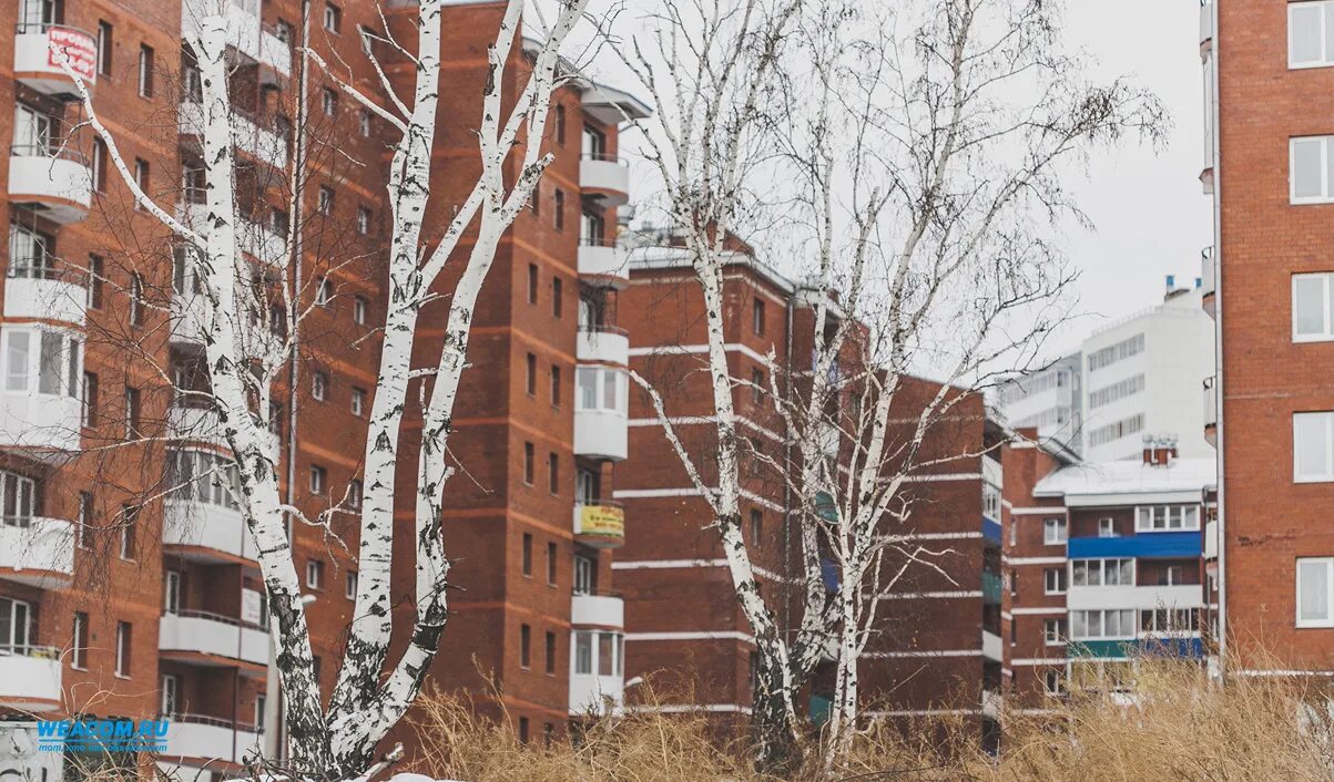 Добропар иркутск новоленино. Ново-Ленино Иркутск. Город Иркутск Ново Ленино. Микрорайон Ново Ленино Иркутск. Иркутск Новоленино фото.