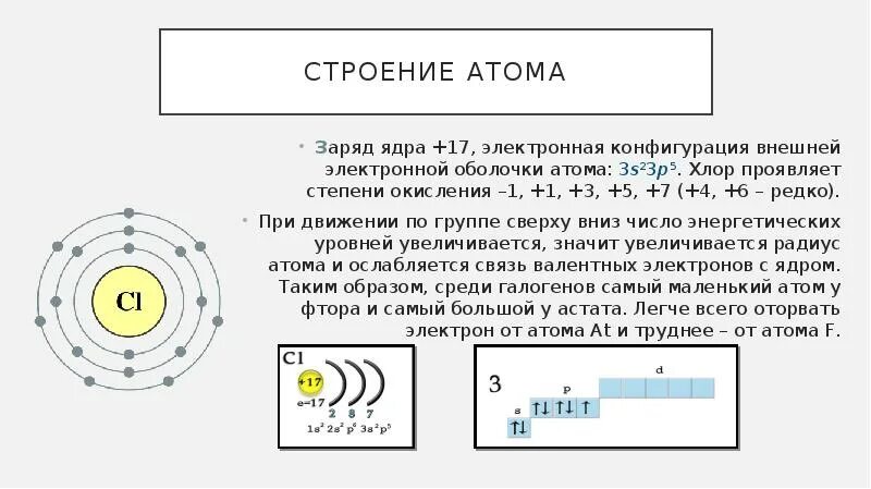 Составить строение атома хлора. Атом ядро электронная оболочка схема. строение электронных оболочек атомов cl. хлор электронная конфигурация внешнего слоя. электронная конфигурация атома хлора схема строения атома.