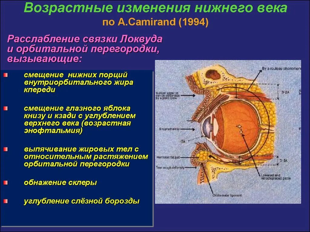 Возрастные изменения функций. Изменение глазного яблока. Возрастные изменения органа зрения. Изменение формы глазного яблока с возрастом. Возрастные изменения глаза.