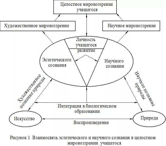 Системная модель мировоззрения человека. Схема взаимосвязи понятий образование обучение воспитание развитие. Формирование личности схема в педагогике. Метод эстетического воспитания схема. Модель формирования личности.