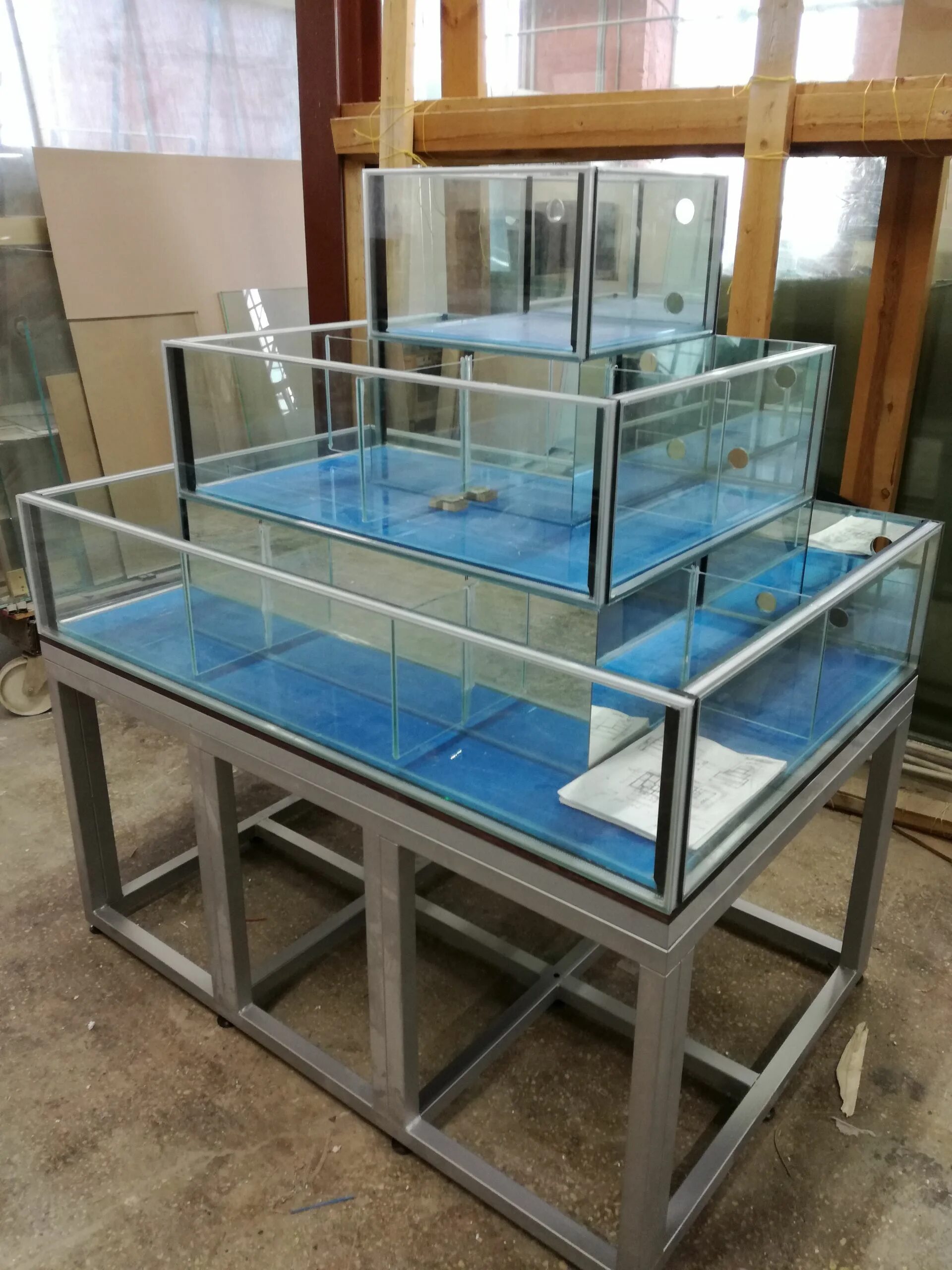 рыба в аквариуме в магазине. аквариум для торговли живой рыбой. торговые аквариумы для морепродуктов. витрины для аквариумных рыб. торговые аквариумы для живой рыбы.