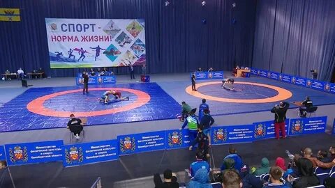 Пфо борьба
