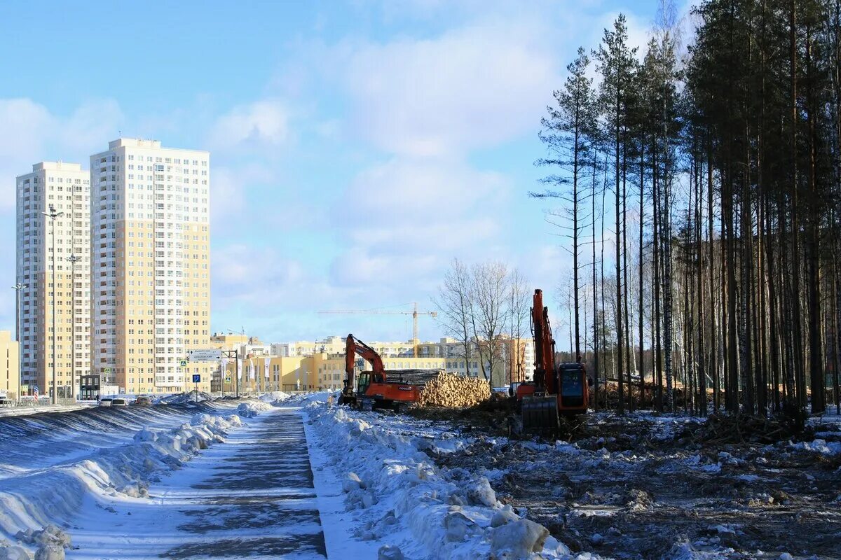 Юнтоловский заказник, живая природа на территории Питера площадью около 1000Га, 