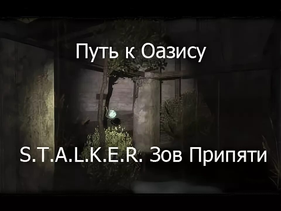 Как пройти оазис в сталкере зов. S.t.a.l.k.e.r. зов припяти оазис. проход к оазису в сталкер. путь через оазис зов припяти. путь к оазису в сталкер.