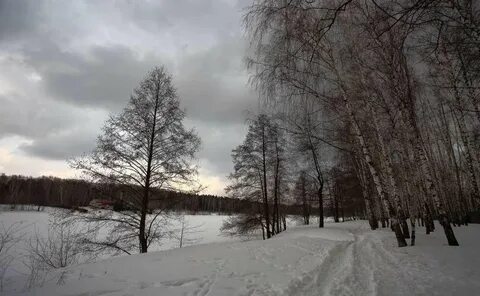 Снег в пасмурный день