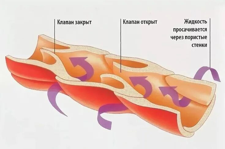 Здравствуйте. После операции по замене аортального клапана на механику прошло по