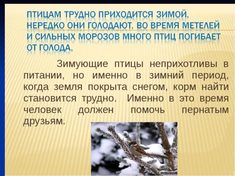 Зачем птицам. Сочинение помощь птицам. Заметка о зимующих птицах. Как помочь животным в зимнее время. Памятка как помочь животным в зимнее время.