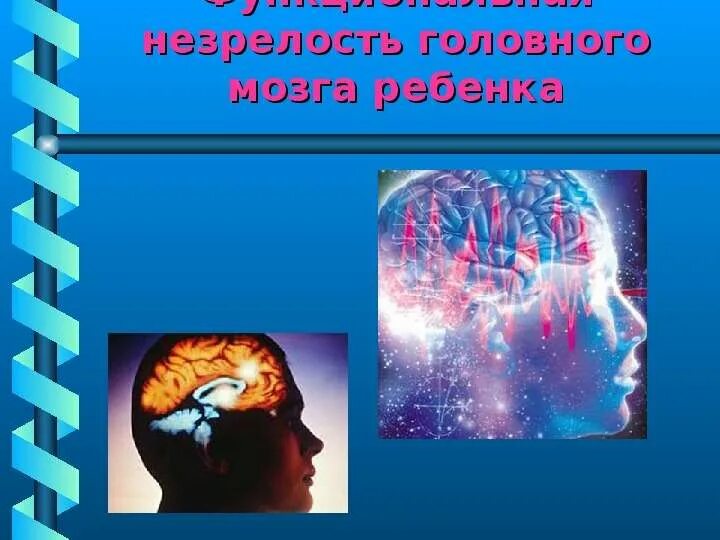 Функциональная незрелость мозга. Морфологические и функциональные особенности недоношенности. Признаки незрелости головного. Функциональные признаки недоношенного. Незрелость коры головного мозга у ребенка.