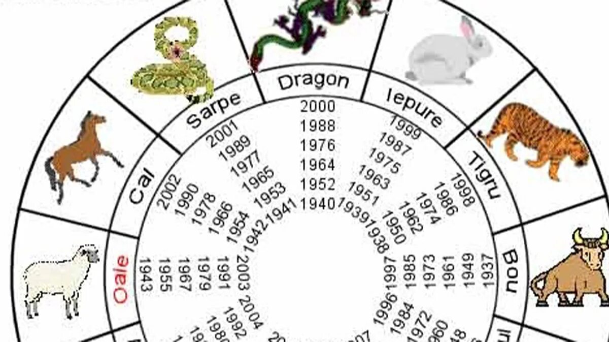 Какой зверь 2024. Года по животным. Года по восточному календарю таблица. Животные китайского календаря. 1988 Год по восточному календарю.