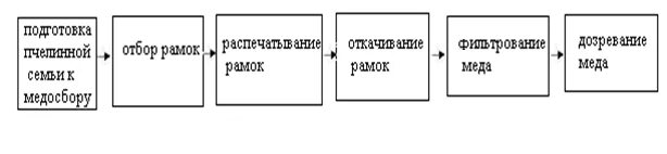 процесс производства меда. технология производства меда. технология производства меда. завод меда. технология производства меда.