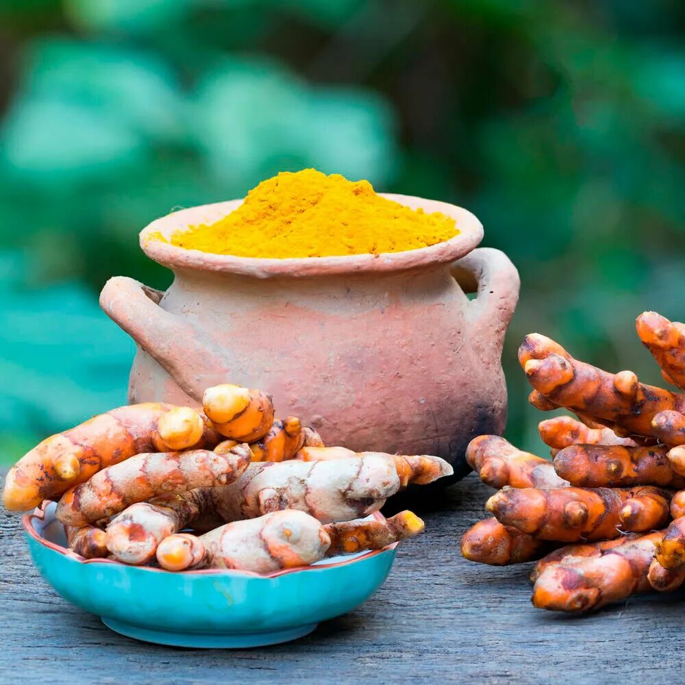 Куркума польза для здоровья. Куркума turmeric. турмерик куркумин. куркума и куркумин. куркума зарчава.