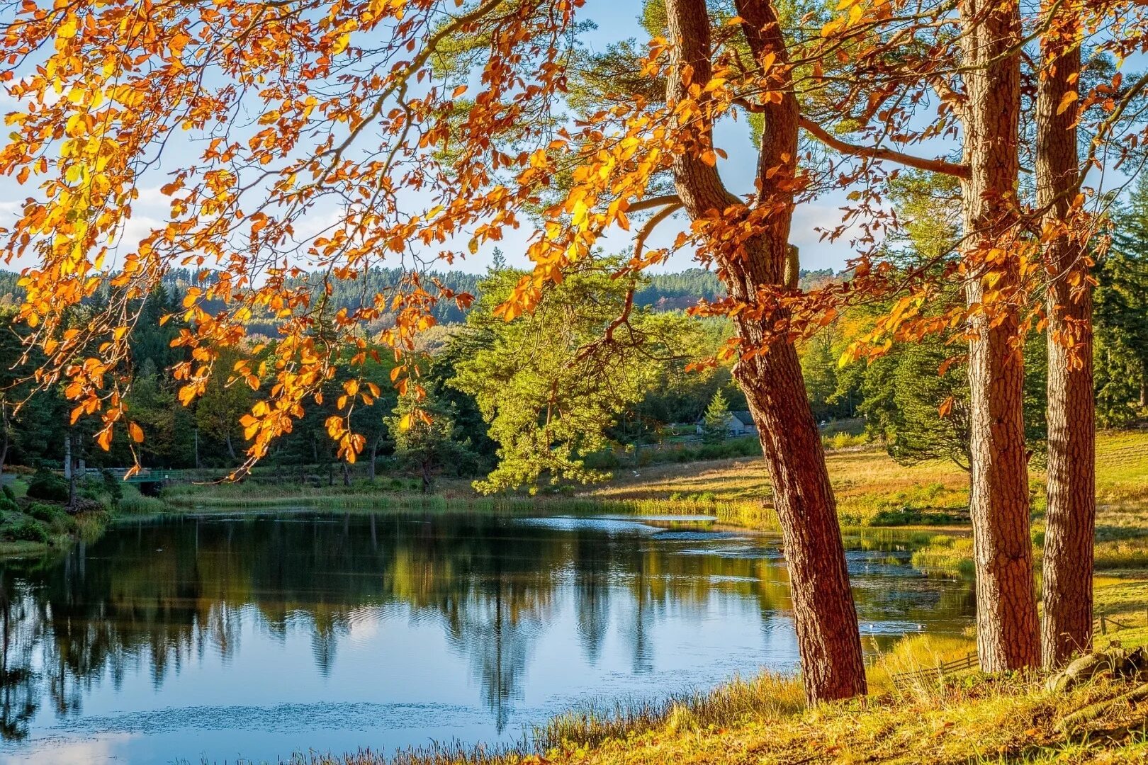 Сентябрь продолжение лета. Золотая осень бабье лето. Пейзаж осени. Сентябрь природа. Природа осень.