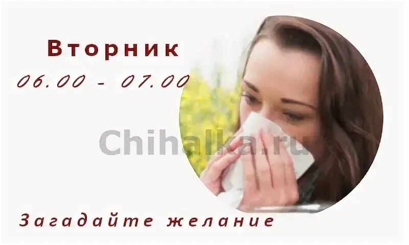 Чихалка в четверг по времени