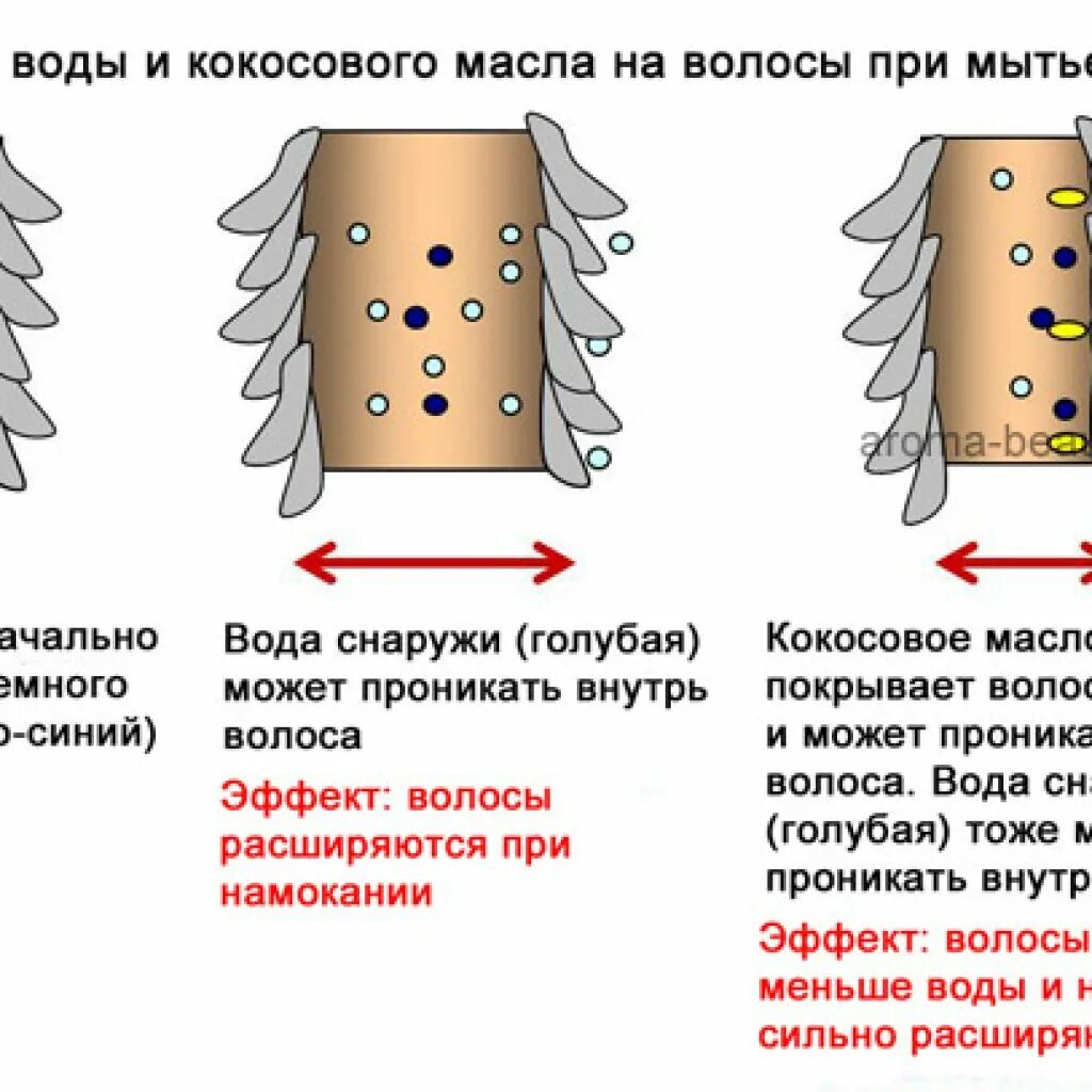 Как масло влияет на волосы