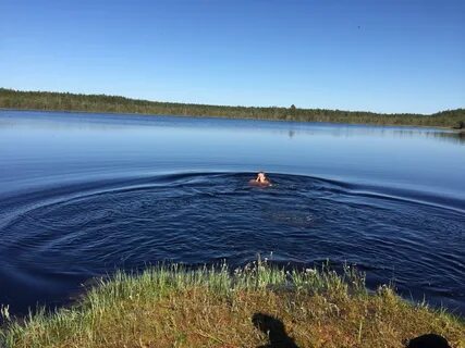 Погода в новой шомохте нижегородской