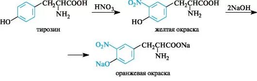 Ксантопротеиновая реакция реакция. Триптофан с азотной кислотой. Триптофан азотная кислота реакция. Ксантопротеиновая реакция на аминокислоты. Полипептиды с азотной кислотой дают фиолетовое окрашивание