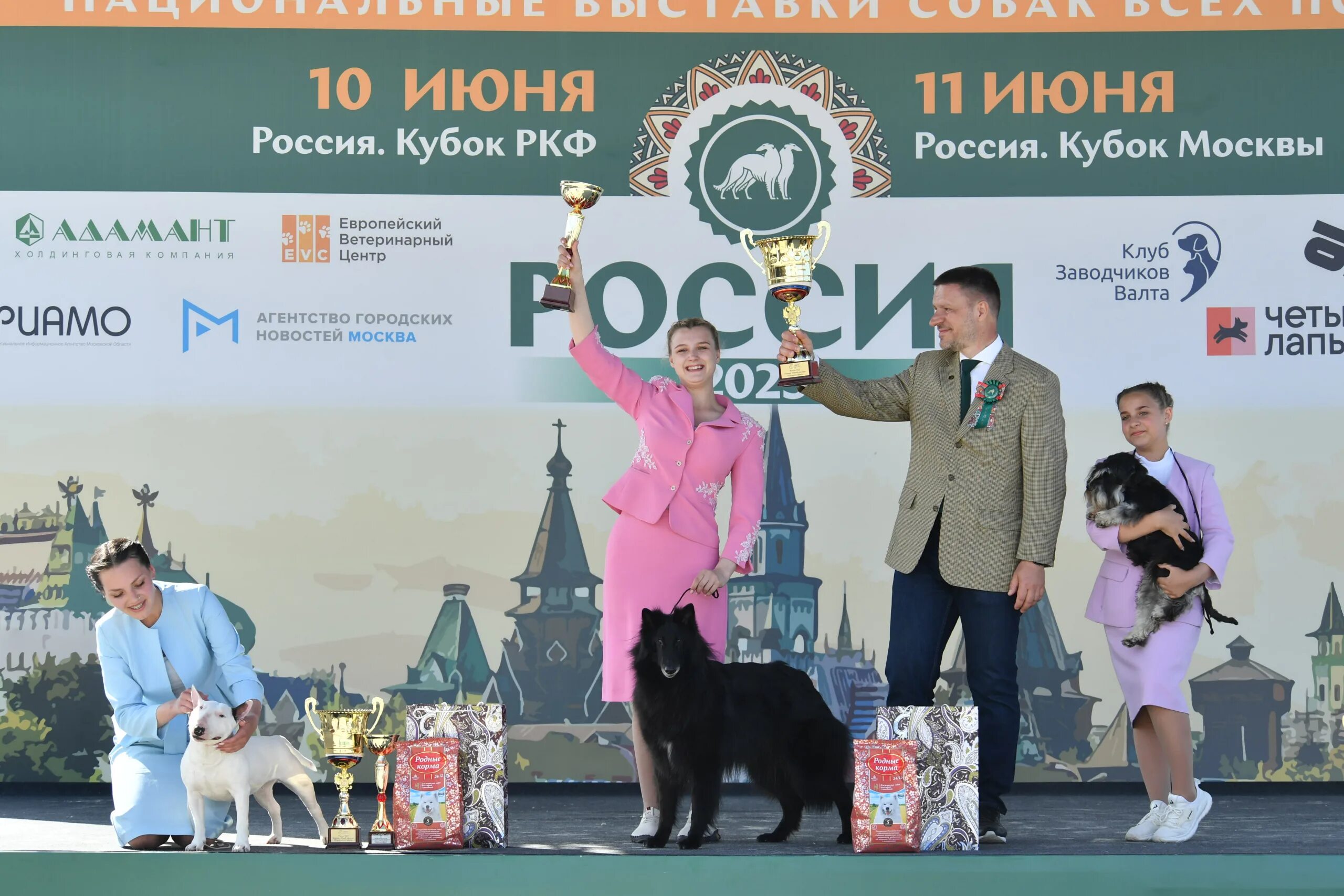 Выставка собак ркф 2025. Хендлер. ркф хендлеры. кинологи россии. выставка.