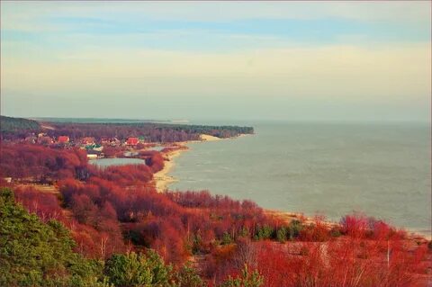 Калининград курская курская коса