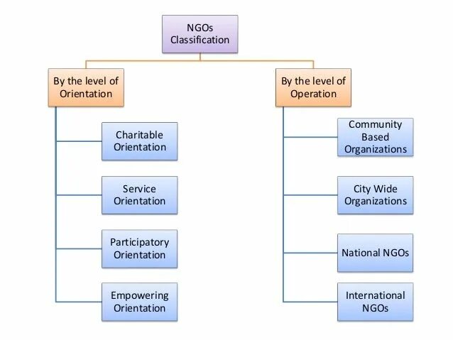 Non governmental Organizations. Government-organized non-governmental Organization. International non-governmental Organizations. Ngo examples. Non примеры