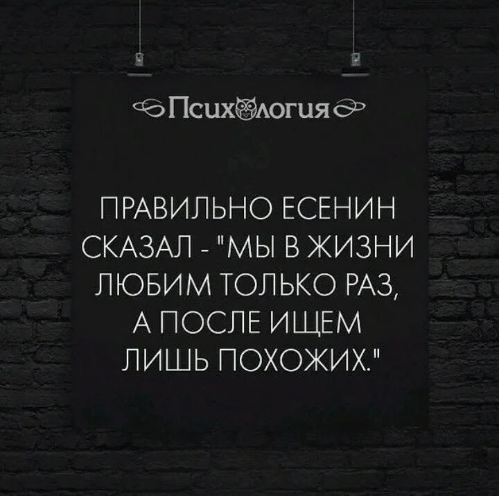 После ищем лишь похожих есенин стих. Мы в жизни любим только раз а после ищем лишь похожих. Стих есенина мы в жизни любим только паз. После ищем лишь похожих есенин стих. Мы в жизни любим только раз стих.