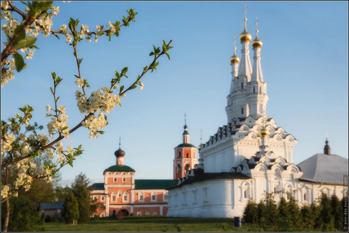 Монастырь в вязьме. Иоанно-предтеченский монастырь (вязьма). иоанно предтечев монастырь в вязьме.