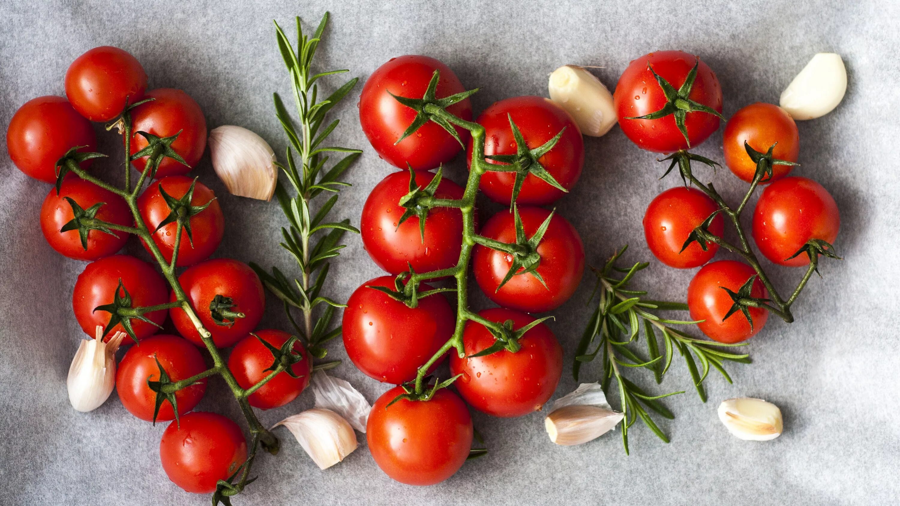 Tomates : culture en pots, conservation, maturité