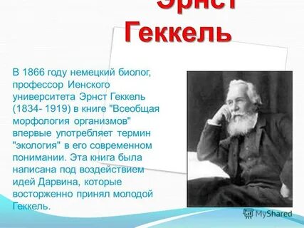 Немецкий биолог э геккель писал в 1904