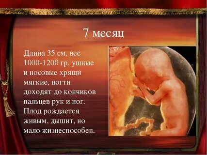 С какой недели беременности ребенок считается доношенным