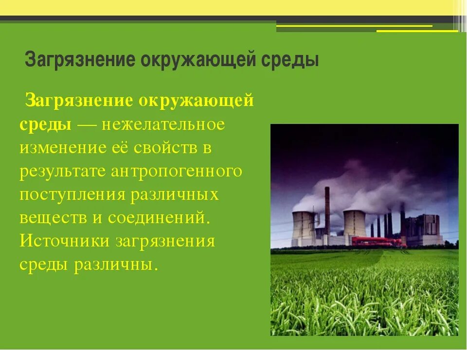 Как изменилась экологическая ситуация в вашем крае. Воздействие загрязнений на окружающую среду. Воздействие предприятия на окружающую среду. Факторы загрязняющие окружающую среду. Презентация на тему окружающей среды.