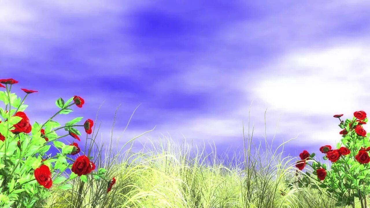 Вставить background image
