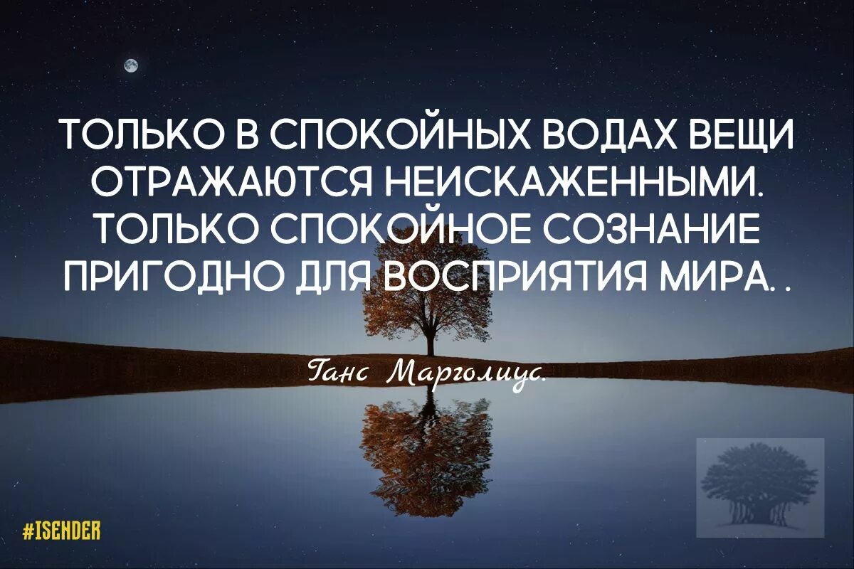 Только в спокойных Водах вещи отражаются неискаженными. Афоризмы про сознание. Только спокойная вода. Высказывания о сознании.