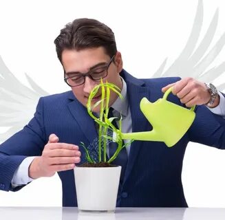 Инвестором проекта выступил