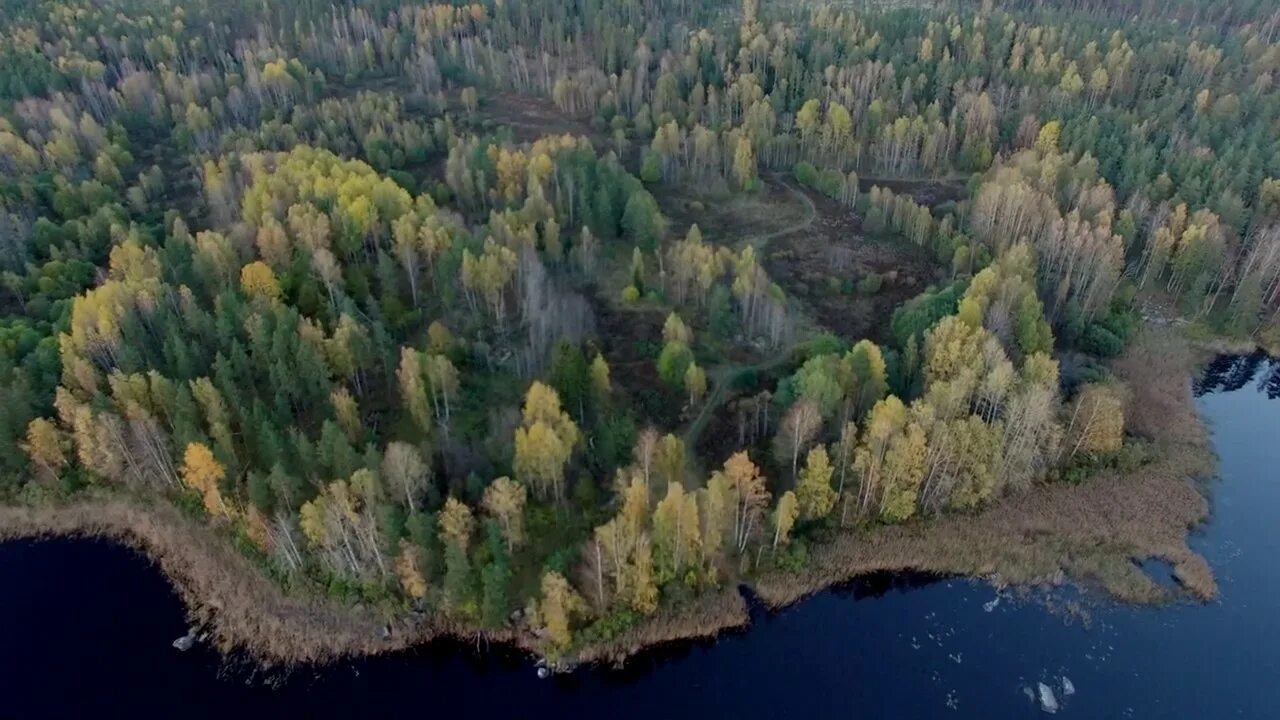 Сердце вуоксы поселок. Вуокса поселок горы. лысая гора вуокса. полуостров большой вуокса. озеро вуокса.
