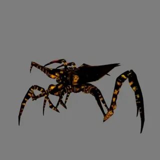 Aut bugs