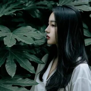 Yan zhao