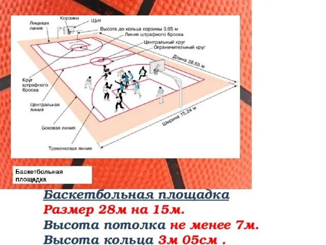 Зоны баскетбольной площадки. Баскетбольное поле схема. Баскетбольная площадка план. Зоны площадки в баскетболе. Правила баскетбола количество игроков