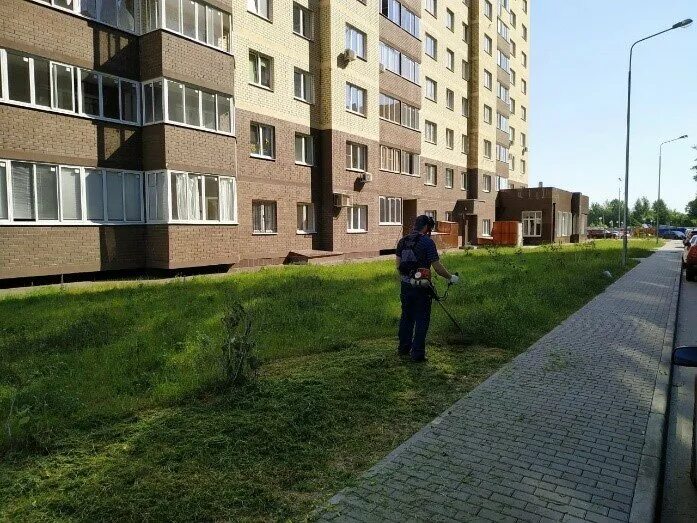 ЖК полёт Ногинск. Ногинск район полет. Ногинск улица Дмитрия Михайлова полет. Ногинск ул Дмитрия Михайлова 1. Улица дмитрия михайлова