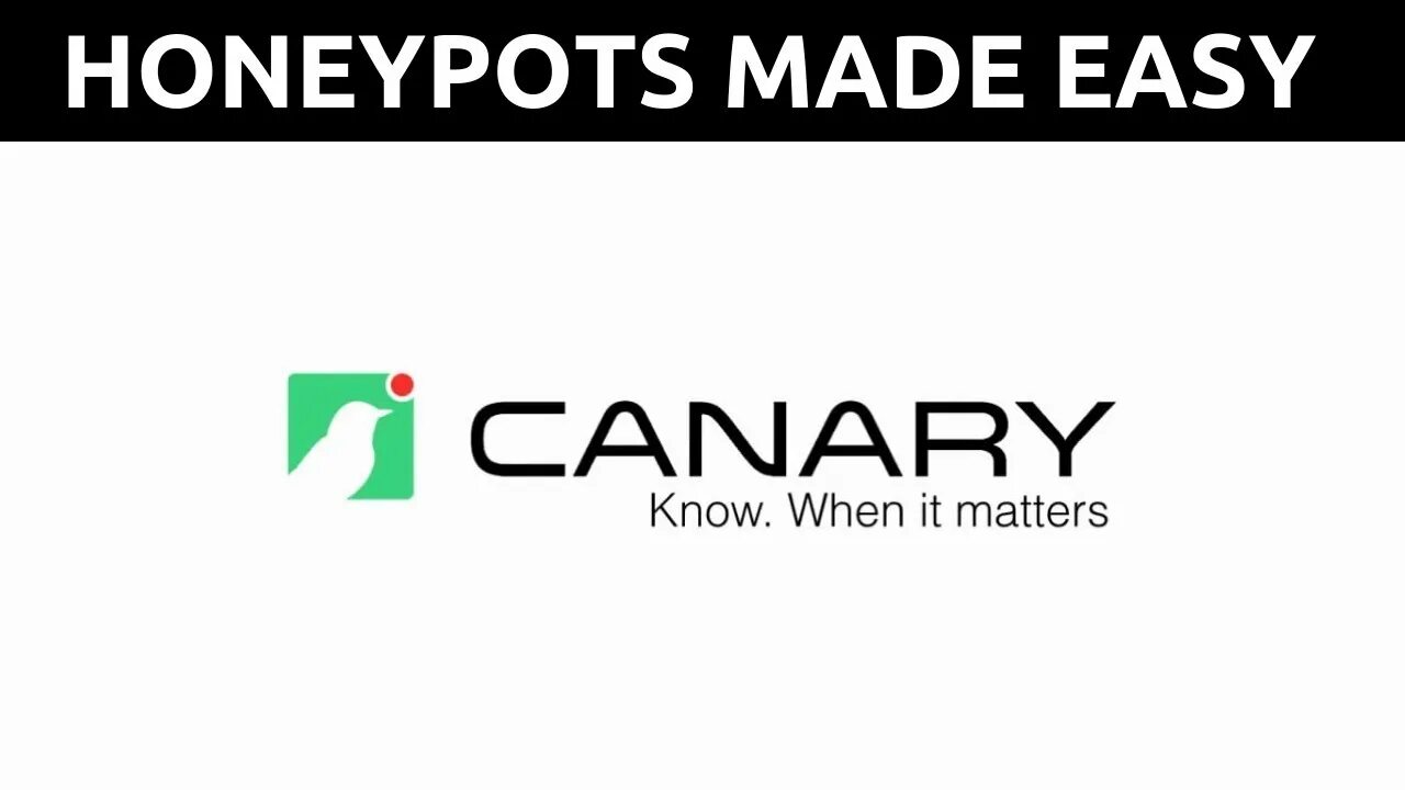 Певчая птичка канарейка. Canary tokens. Canarytokens. Желтобрюхий канареечный вьюрок. Input email.