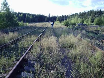 Погода фролищи