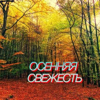 Шум осени слушать