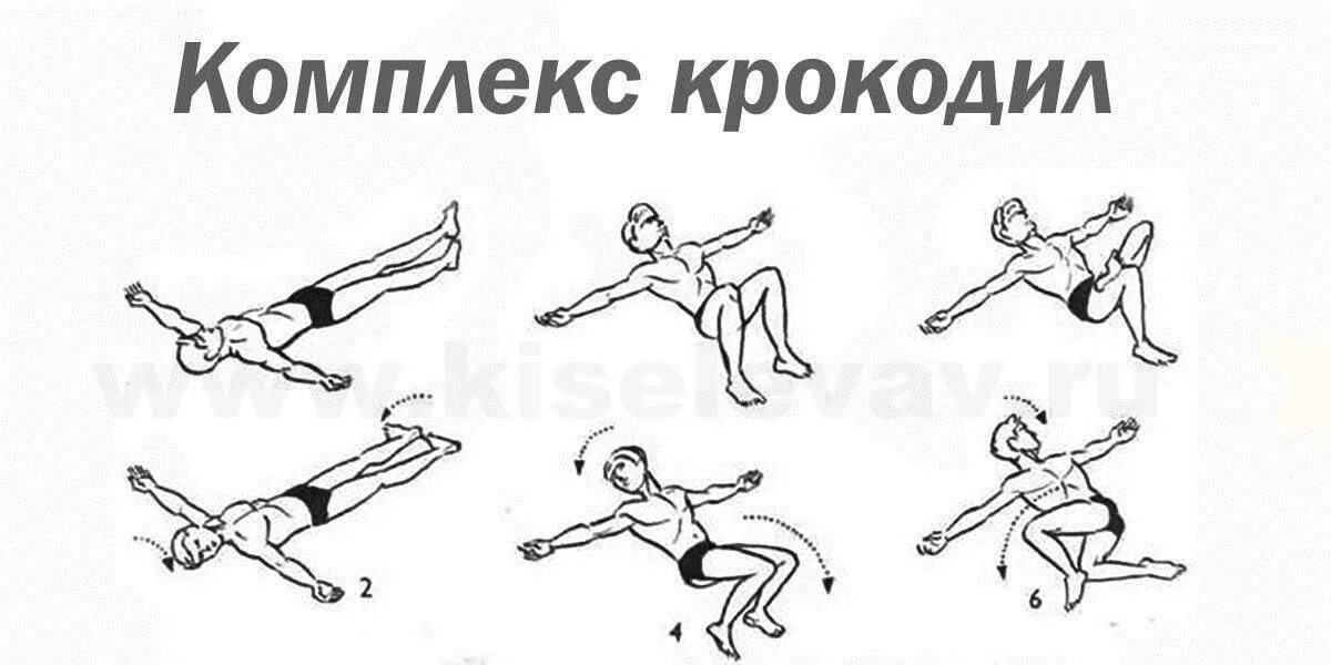 Комплекс крокодил. Зарядка крокодил антипко комплекс упражнений. Зарядка крокодил для позвоночника антипко. Комплекс упражнений крокодил алоиз рааб. Зарядка крокодил по антипко комплекс упражнений крокодил.