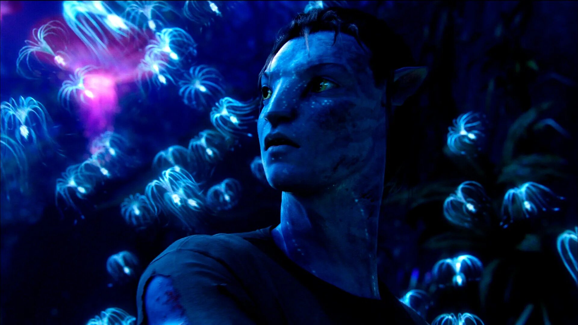 Avatar soul. Аватар 2 эйва. Эйва аватар. Пандора аватар эйва. Аватар пандора семена эйвы.