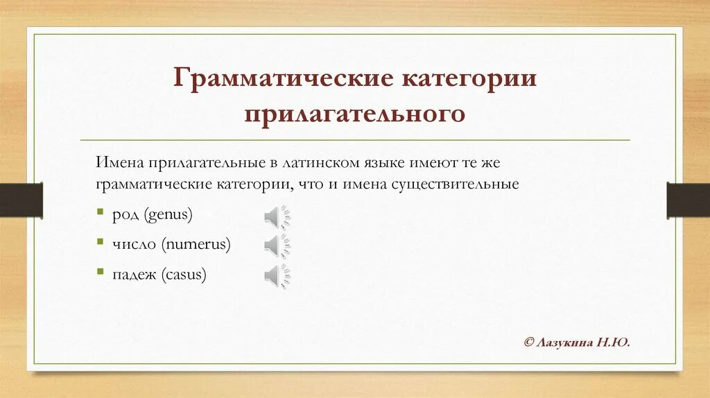 Грамматические категории прилагательного. Грамматические категории прилагательных в латинском. Латинский грамматические категории. Основные грамматические категории прилагательного.