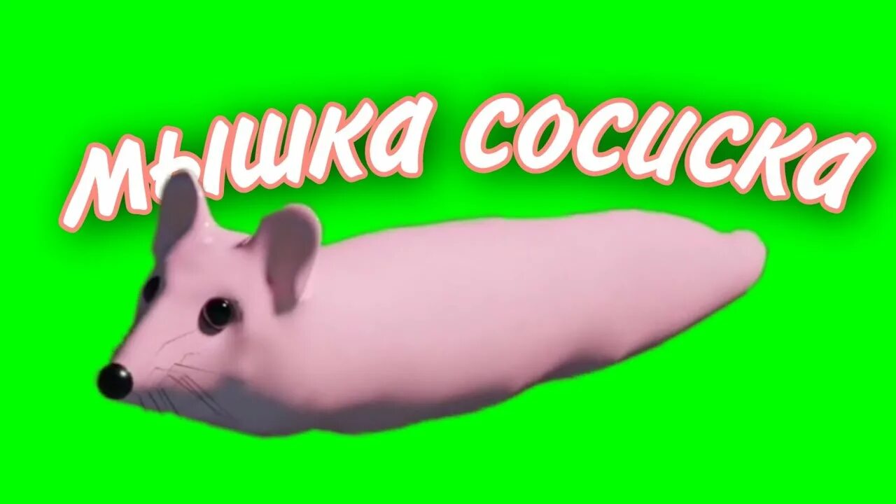 Жвачка мышь. Мышка сосиска. Мыша сосиска. Туц тутуц мышка сосиска. Мышка сосиска оригинал.