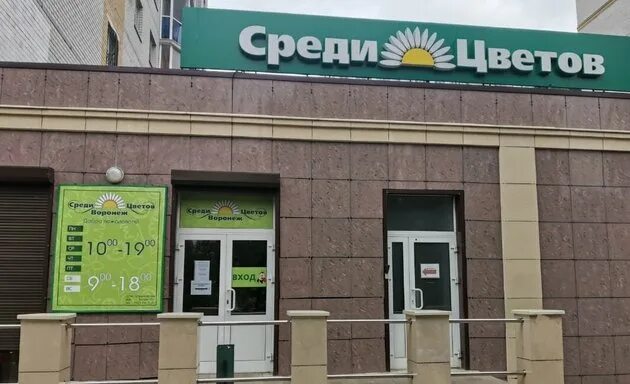 Среди семян воронеж. Фото однолетних цветов с названиями. Магазины семян в воронеже адреса магазинов. Среди семян воронеж. Среди семян воронеж.