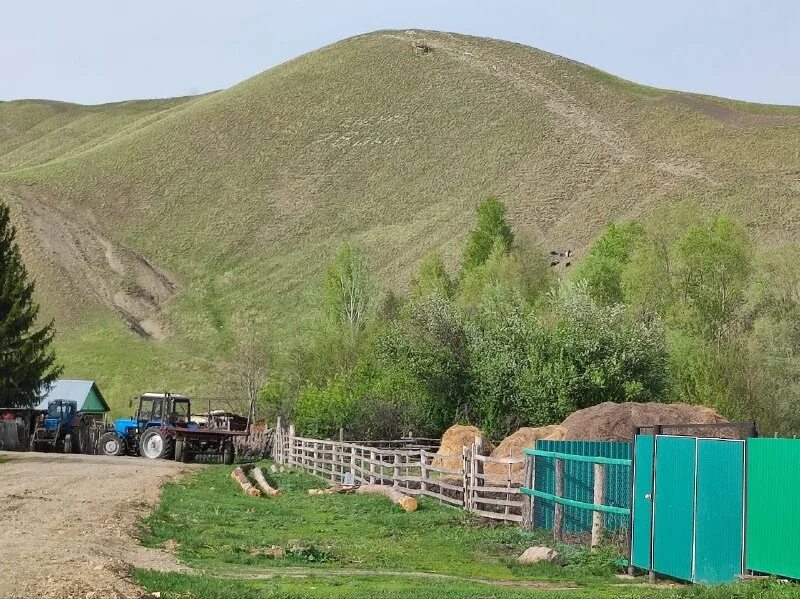 подслушано кувандык объявления вакансии работа. подслушано кувандык объявления вакансии работа. пенсионный фонд кувандык. подслушано кувандык объявления вакансии работа. подслушано кувандык.