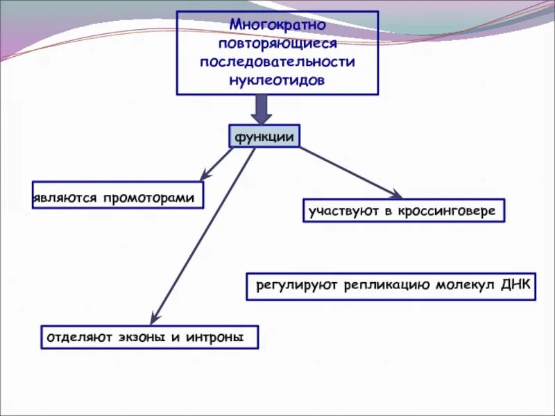 Повторяется неоднократно