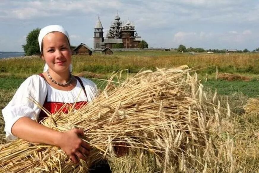 Сельские женщины. Международный день сельских женщин. Труженики села. Труженики сельского хозяйства. Труженик собранный