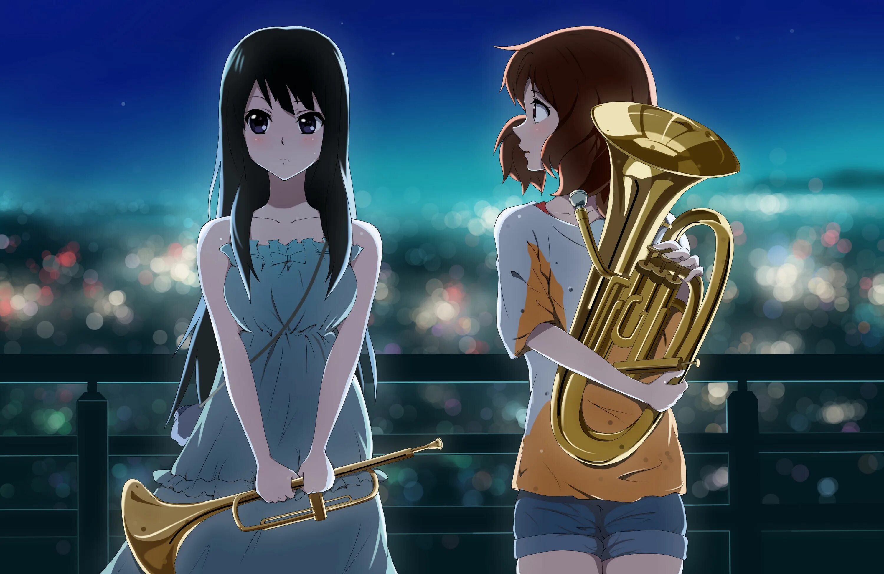 Хибики эуфониум рейна. Аниме звуки. Звучи эуфониум кумико. Sound euphonium. Sound euphonium аниме.